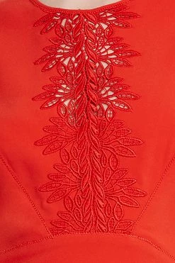 Elie Tahari Lace Applique Midi Dress -Elie Tahari Sales 2023 E3098613 AGAVE 3BACK 3261 detail