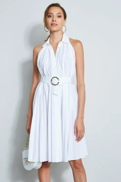 Pleated Shirt Dress 12 Pleated Shirt Dress -Elie Tahari Sales 2023 ETR21300 SKYWHITE DRESS 2FRONT 1032